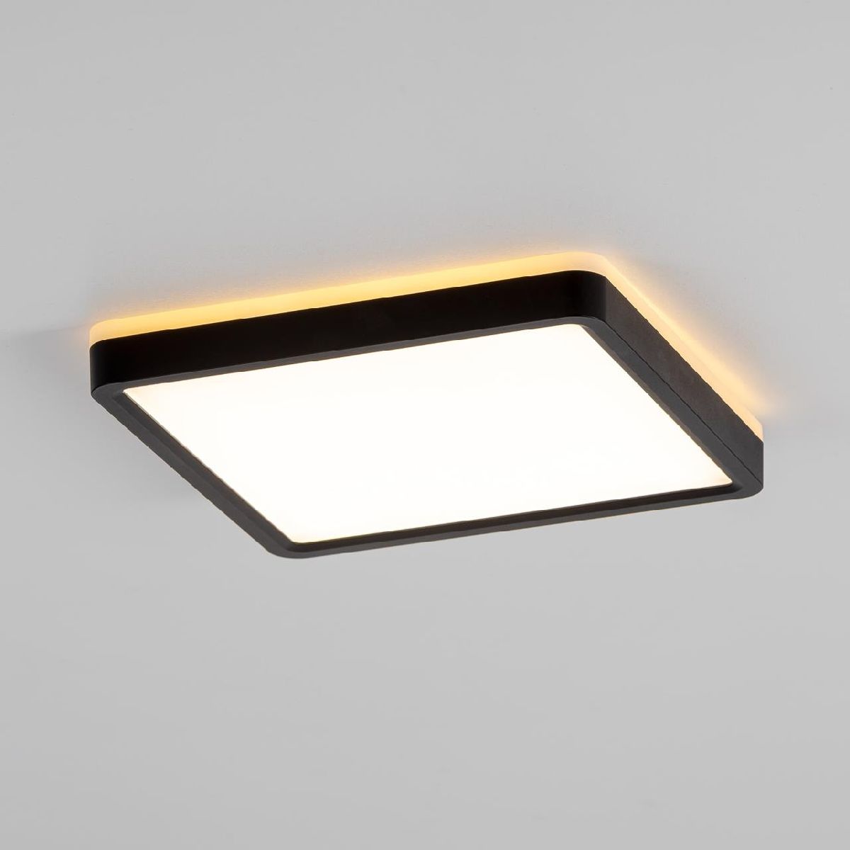 настенно-потолочный светильник citilux norma cl748k201