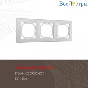 503.06-3.silver