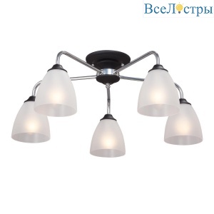 V3946-1/5PL
