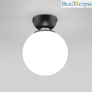 30197/1 черный