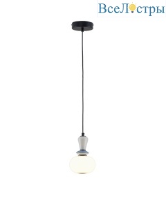V11697-PL