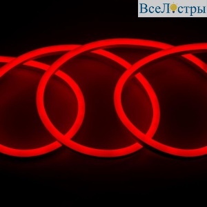 504213