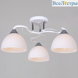 85460-0.3-03 WH+CR