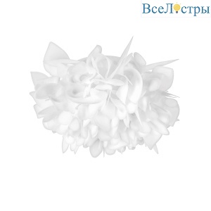 10594/530C White