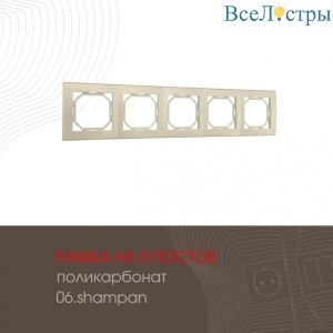 503.06-5.shampan