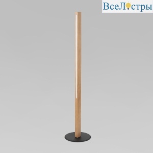 1391 Teo