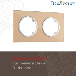 502.01-2.shampan