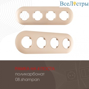 502.08-4.shampan