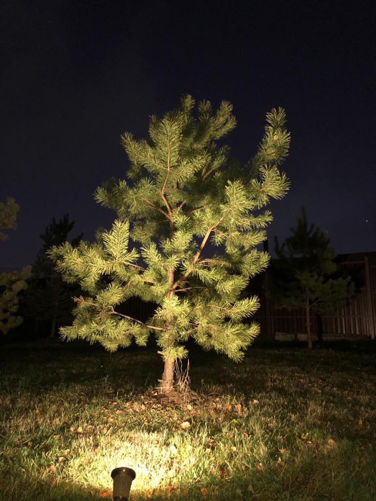 грунтовый светильник covali sp-33005