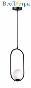 V11586-1P