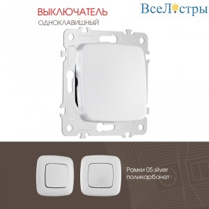 205.30-1.silver