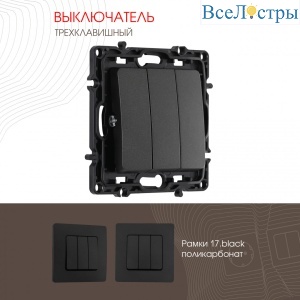 217.30-3.black