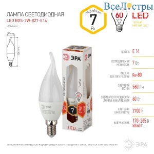 Б0028482