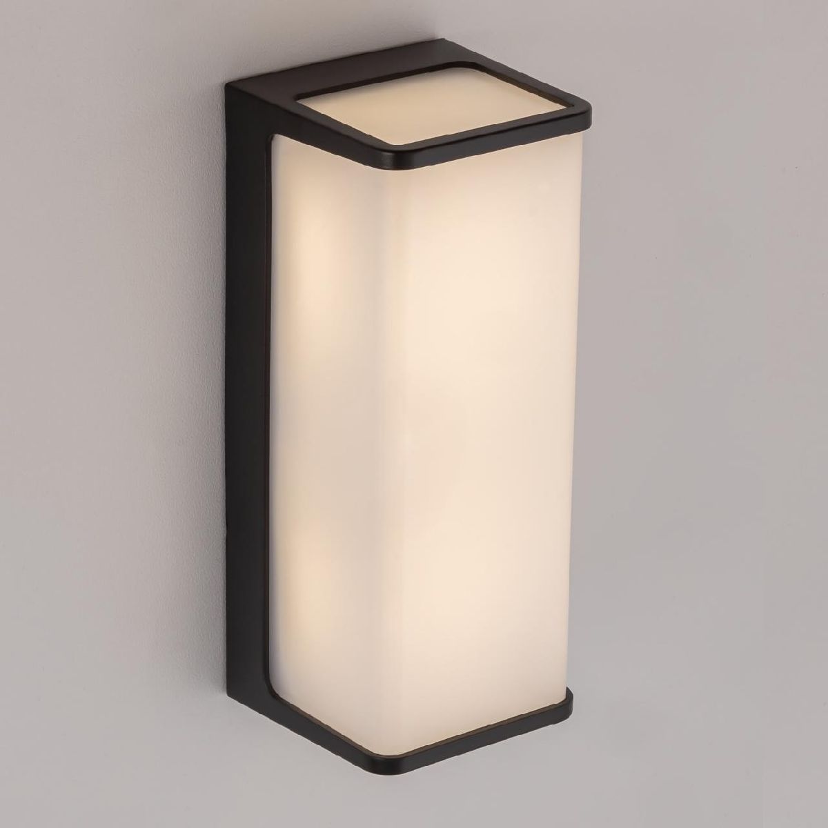 уличный настенный светильник citilux domus clu0802