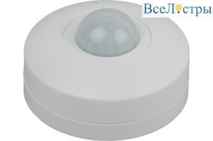 Б0043812