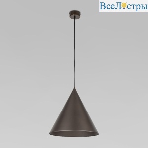 10038 Cono