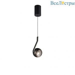 X-24619P BK