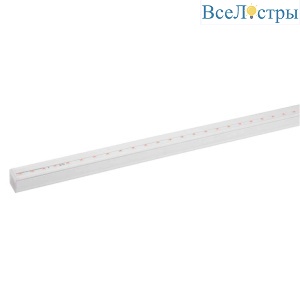 Б0045233
