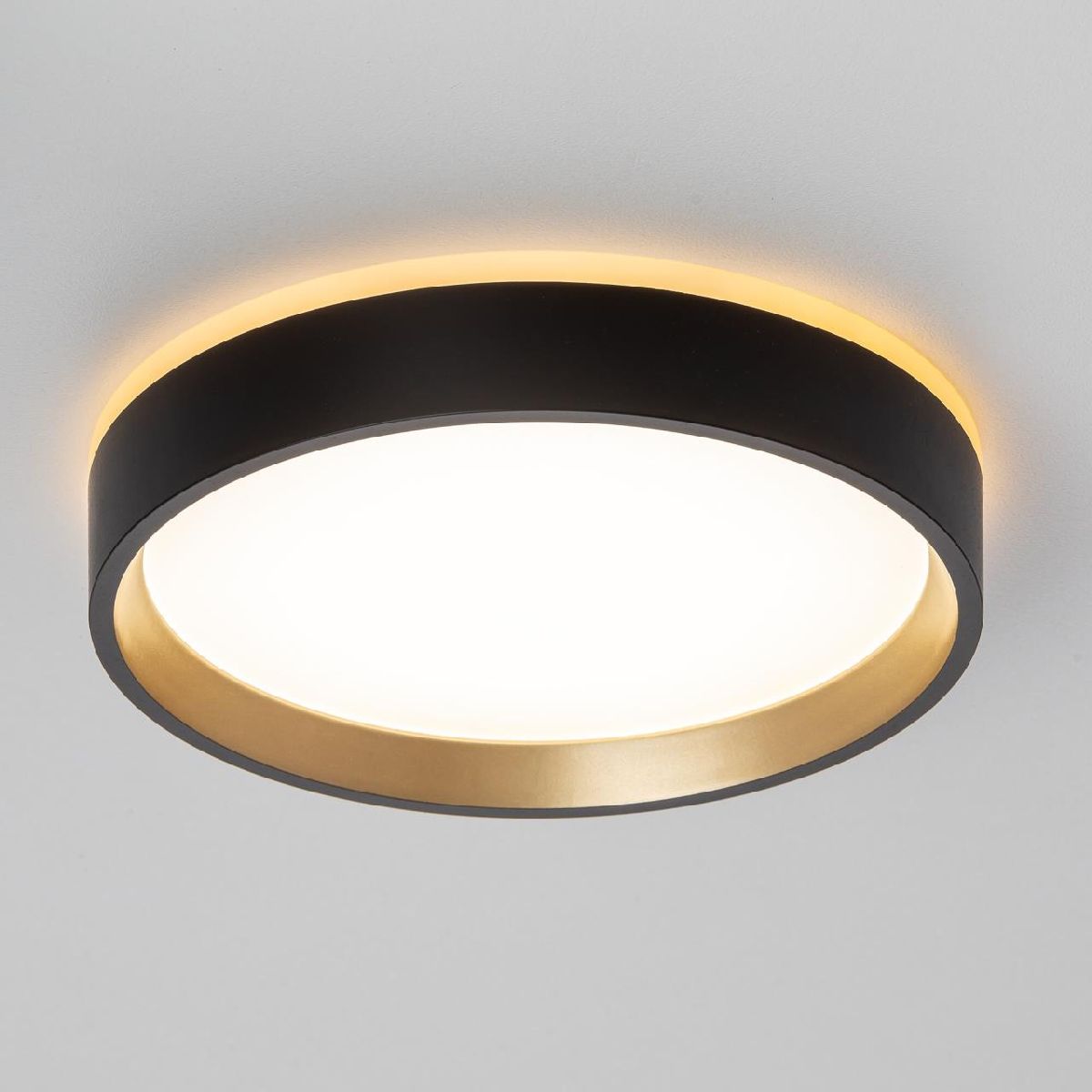 настенно-потолочный светильник citilux etalon cl750181