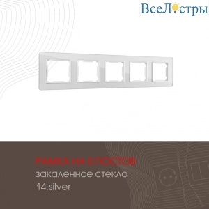 503.14-5.silver