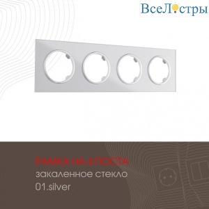 502.01-4.silver