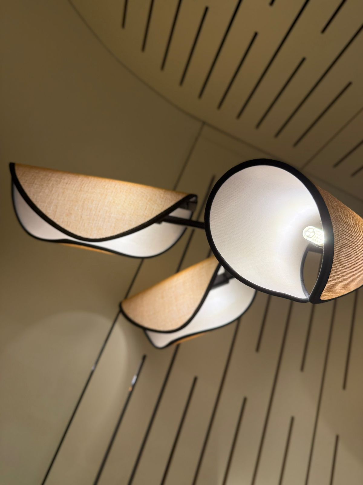 подвесная люстра maytoni organic mod225pl-06b