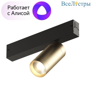 DK8010-BG