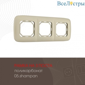505.05-3.shampan