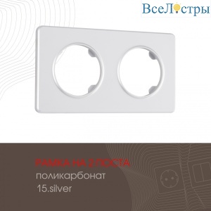 502.15-2.silver