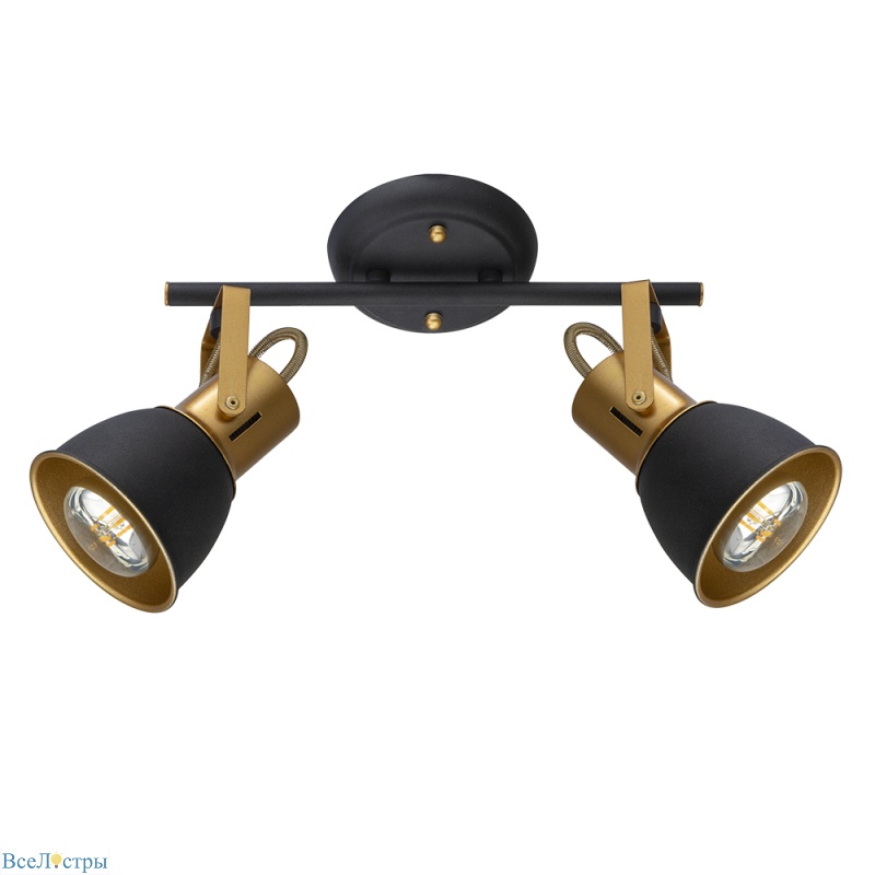 спот arte lamp jovi a1677pl-2go
