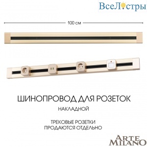 382301TO/100 Gold