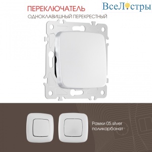205.34-1.silver