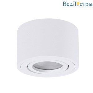 A0550PL-1WH