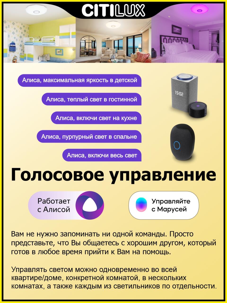 накладной светильник citilux cl713a60g