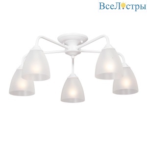 V3946-0/5PL