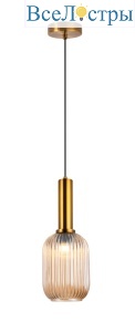 V10505-1P