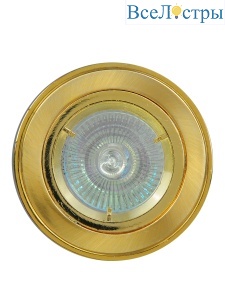 TCH-204-MR16-5.3-SG-G