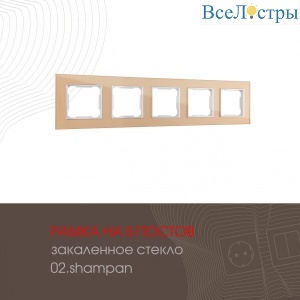 503.02-5.shampan