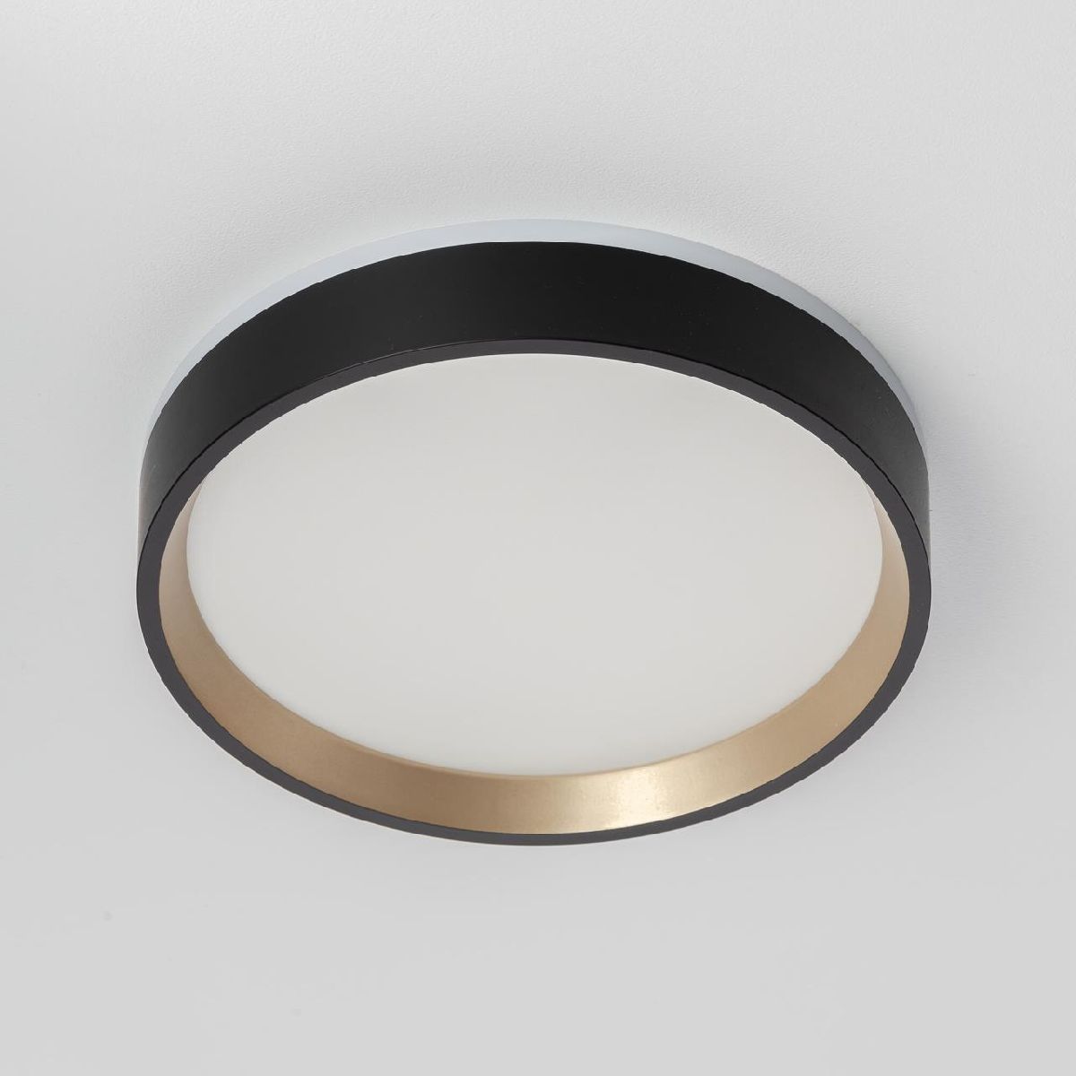 настенно-потолочный светильник citilux etalon cl750181