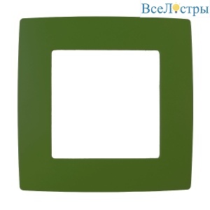 Б0019392