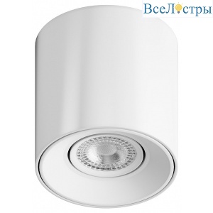HSBL_0107