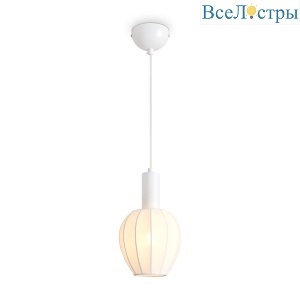 FR5509PL-01W1