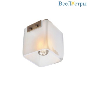 5061C brass/white