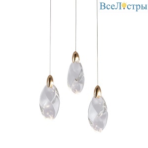 OD2439-3 gold/clear