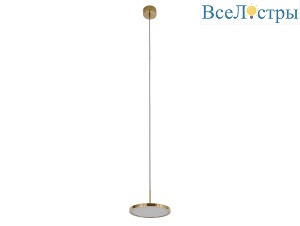 3511/S champagne gold