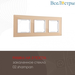 503.02-3.shampan