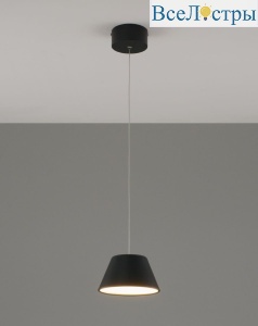 V10889-PL