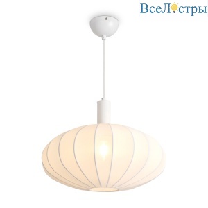 FR5509PL-01W