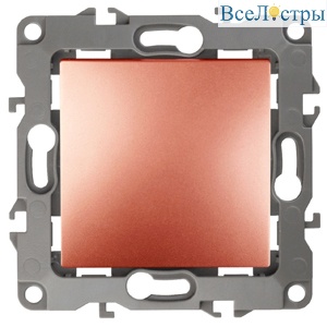 Б0019274