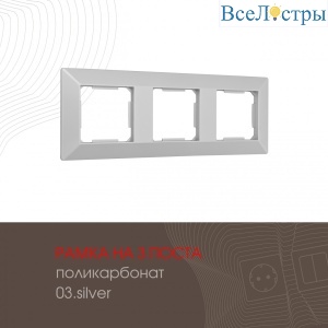 503.03-3.silver
